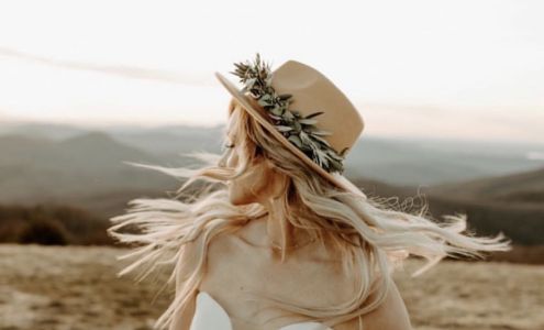 Wild Honey Hair Studio