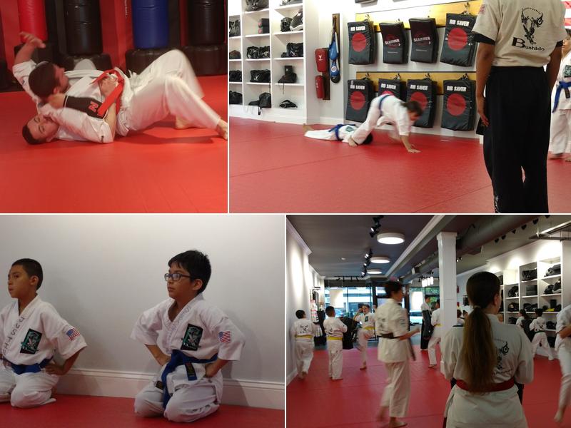 Bushido School of Karate