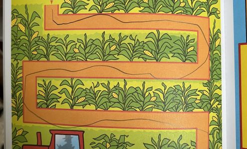 Wow Vision Therapy - St. Joseph