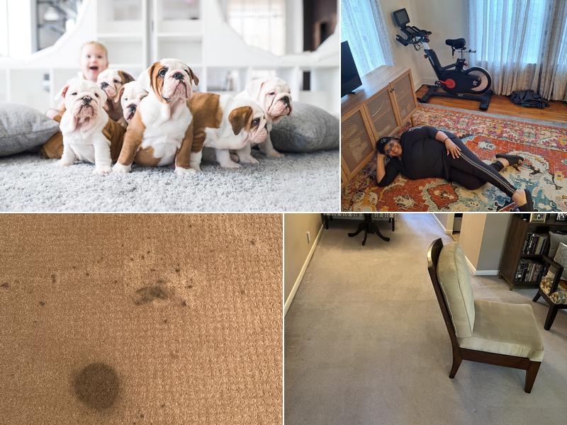 The Original Hoffman Carpet Cleaning