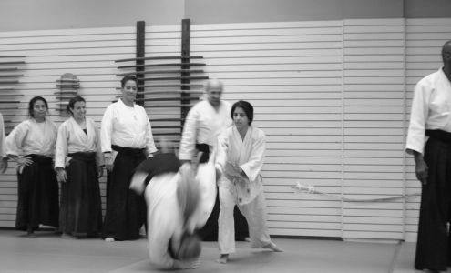 Albany Aikido 143 Troy-Schenectady Rd, Watervliet New York 12189