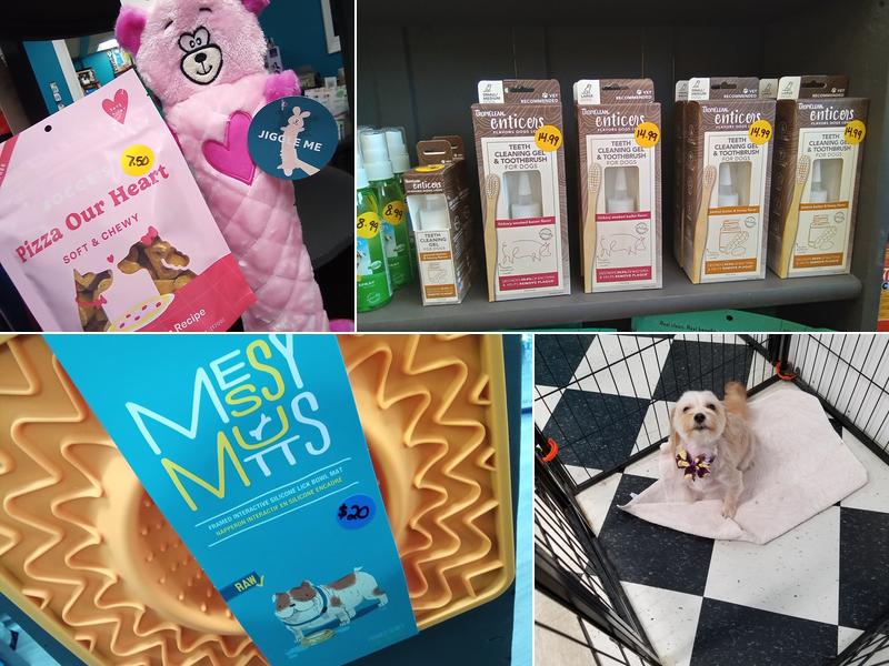 Corey's Canine Creations