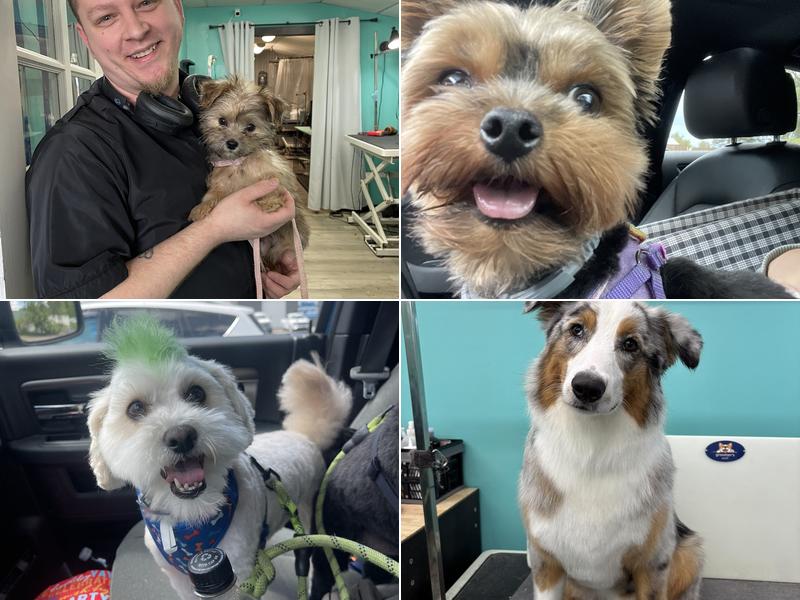 The Muddy Dog Grooming Salon