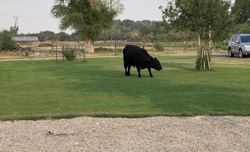 Springs Campground White Sulphur Springs