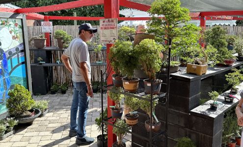 Tyler the Bonsai Guy