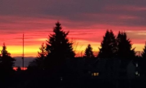 Cloud 9 Cigarette, Cigar & Vape shop in Brentwood