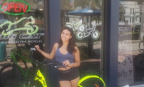 Big Cat Electric Bikes