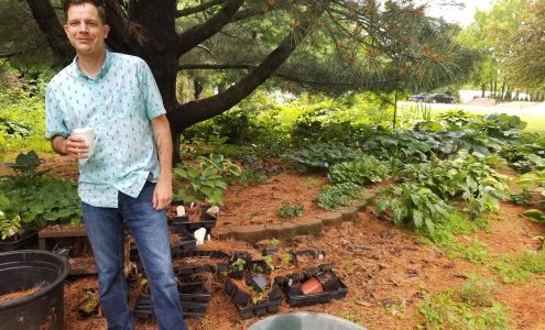 Freeman Tree Farm-Landscaping