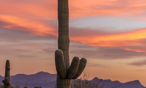 Banner - UMC North Hills Clinic