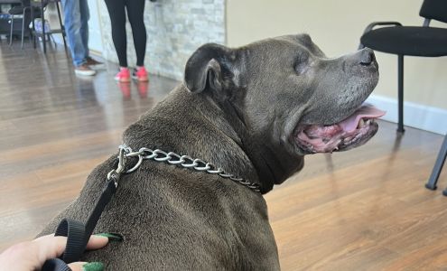 Veterinary Outpatient Treatment Center 2279 NY-112, Medford New York 11763