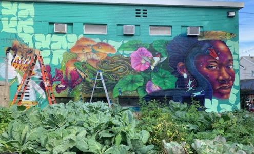 S.W.A.N Inc. at Montgomery Neighborhood Center