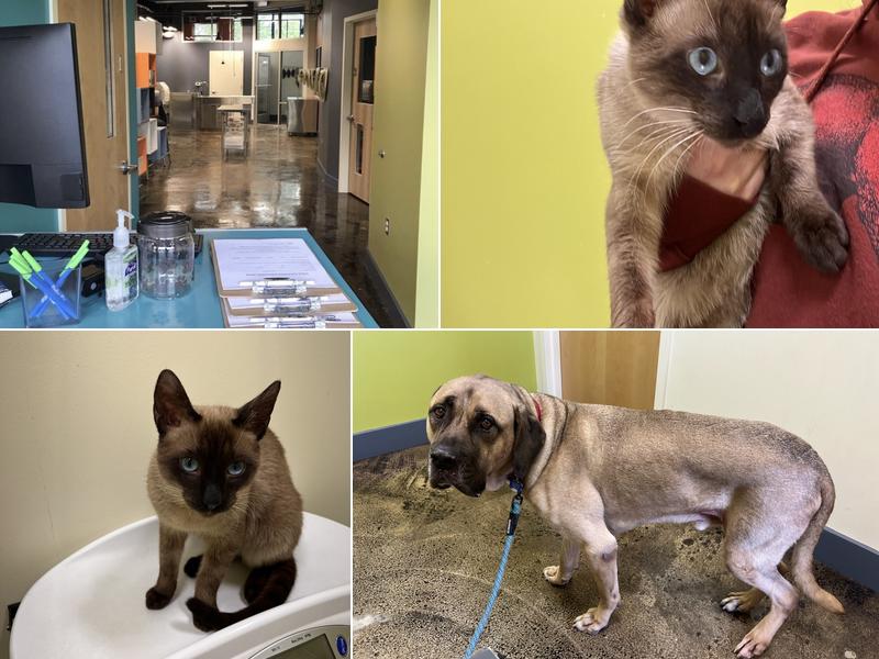 Value Vet- By Appointment