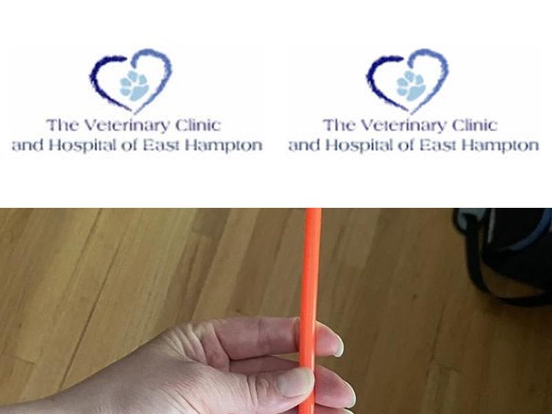 Jonathan H Turetsky Dvm