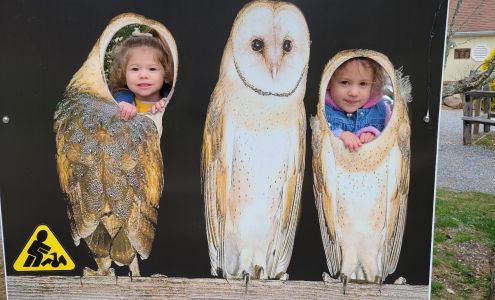 Evelyn Alexander Wildlife Rescue Center Hampton Bays