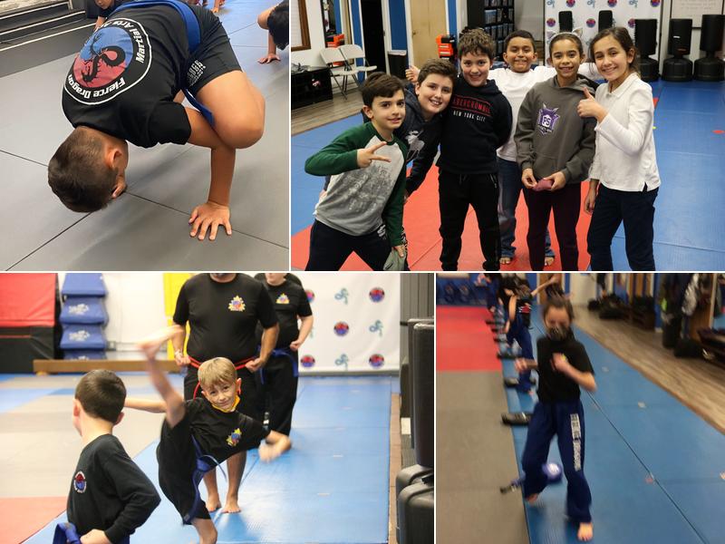 Fierce Dragon Martial Arts Whitestone's Best Programs