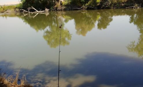 Burls & More Meridian