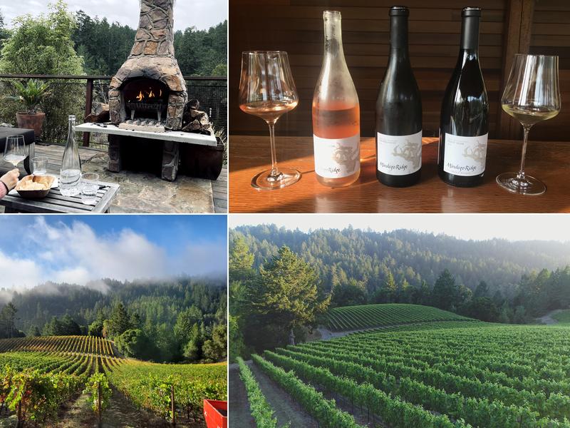 Mindego Ridge Vineyard