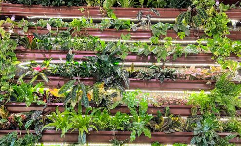 UPshining Houseplant Shop