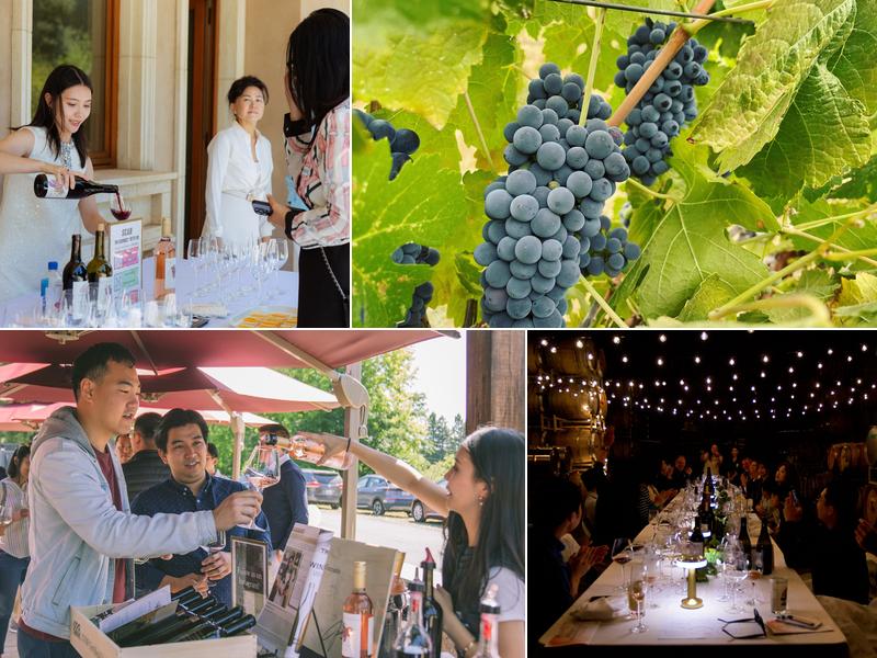 Duncan Peak Vineyards