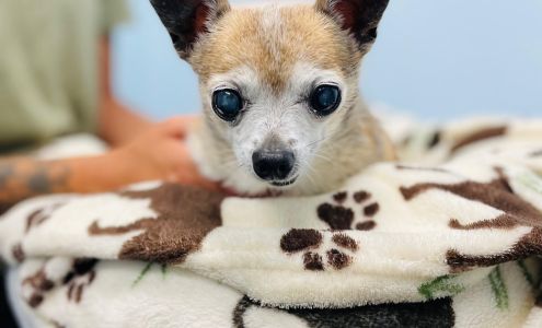 Whole Pet Veterinary Hospital - Mountain Island