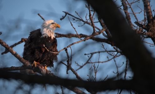 287&Clayton, LLC. - Photography & Art