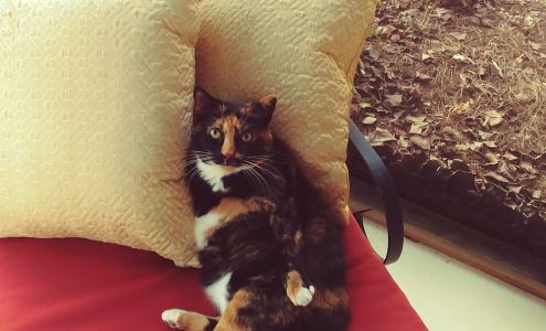 Beaver Creek Nursery