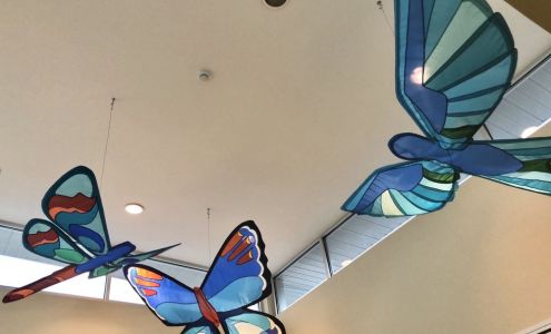 Advocare Del Giorno Pediatrics: Del Giorno John T MD