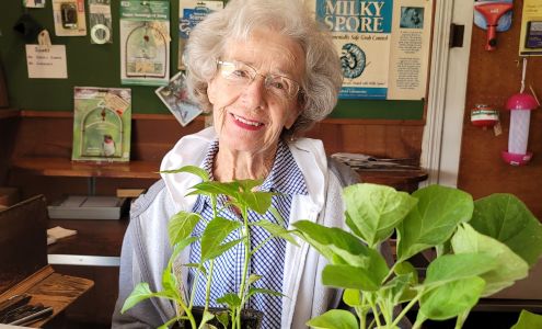 Lab Nursery & Peat Moss