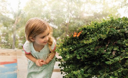 Primrose School of Huntersville