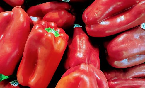 Lonardo's Greenhouse