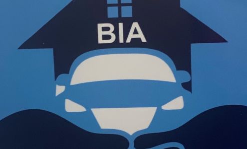 BORDERLESS TAX DMV & INSURANCE AGENCY