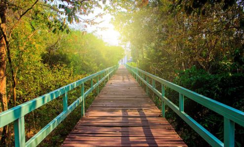 First Baptist Church - Huntersville