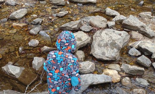 McGill Child Development Center