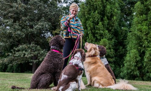 aMANda'S BEST FRIEND