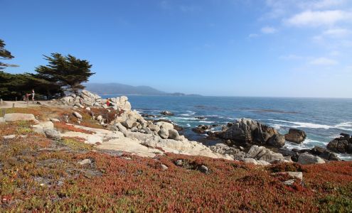 Images of Pebble Beach Pebble Beach