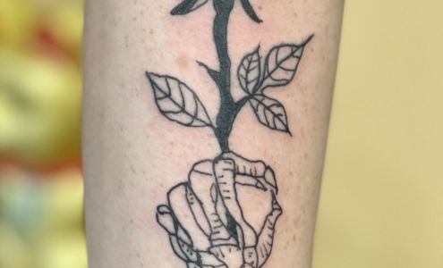 Serpentine Ink Tattoo & Piercing LLC