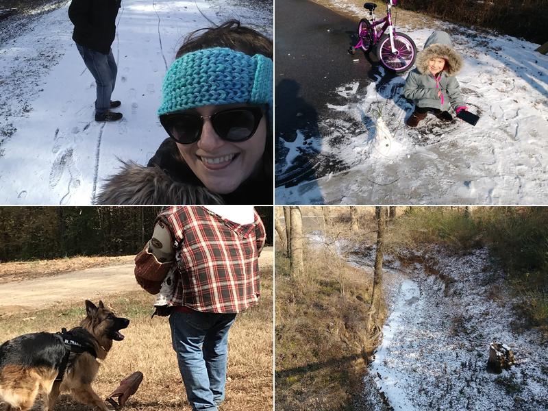 Labonte Canine Services