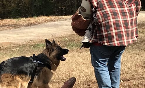 Labonte Canine Services