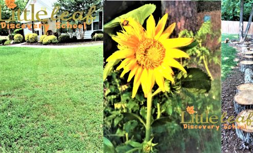 Little Leaf Discovery School