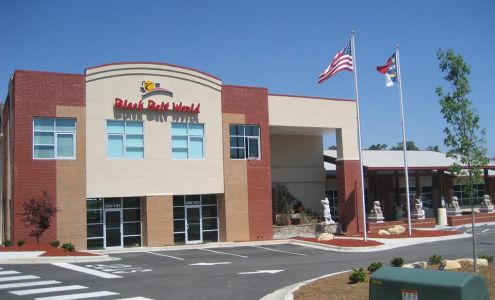 Black Belt World Inc