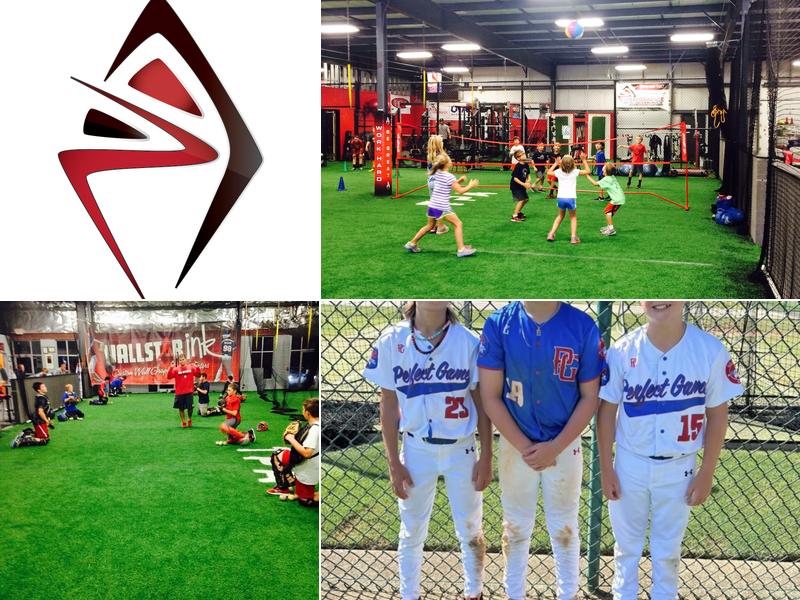 The Performance Academy