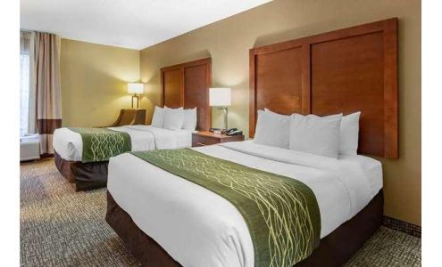 Comfort Inn Apex - Holly Springs