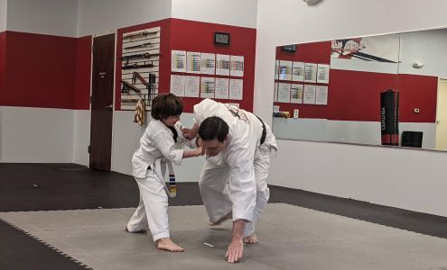Snap Kick Martial Arts - Cary, NC