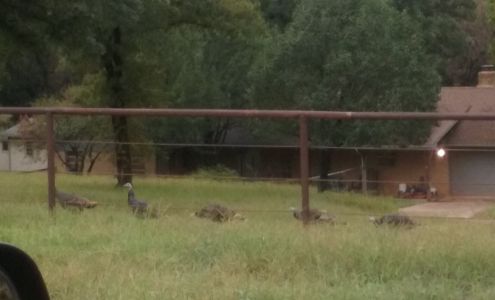 DW Post Oak, Remodeling and New Construction, kitchens, bath, custom closets