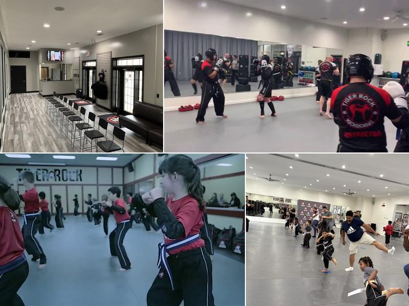 Tiger Rock Martial Arts of High Point