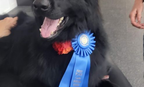 Durham Kennel Club Building