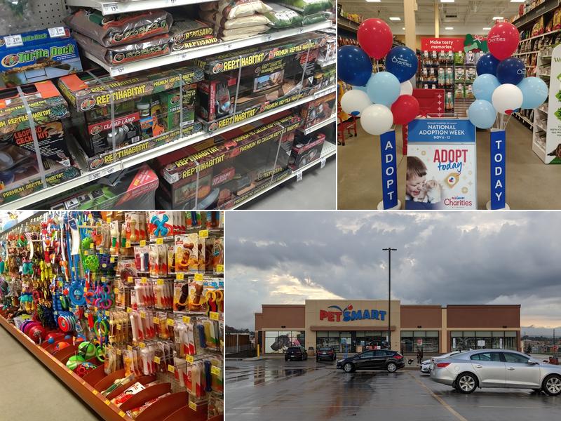 PetSmart
