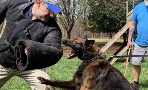 The Canine Commission LLC