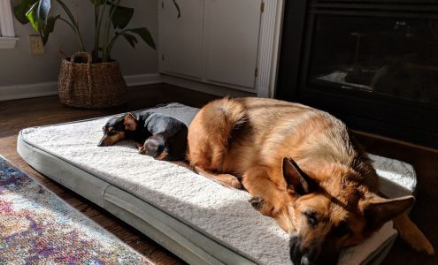 Legacy Boarding Kennels