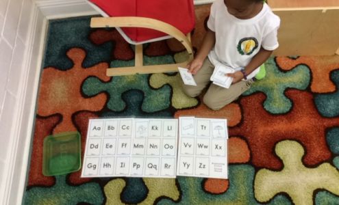 Bright Young Minds Academy